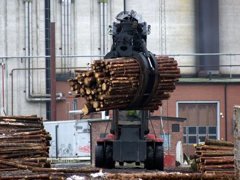 portrait of truck loading timber to a boat