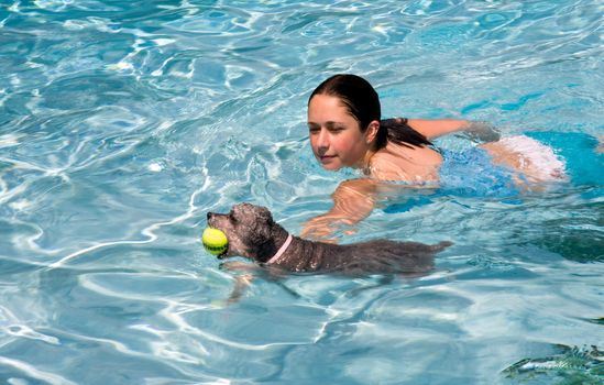 Teenage girl swimming in pool with pet dog with a ball in its mouth