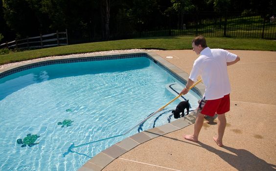 Middle aged man brushing a swimming pool with a single dog in the water