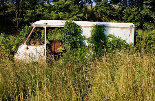 Remains of an old van left to rust in deep grass in front of a wooded area