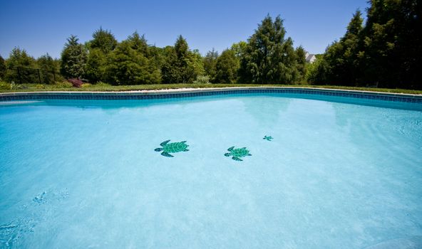 Water level view of a pool stretching into the distance and showing three tiled turtles on the floor of the pool