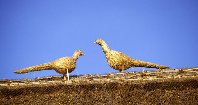 Detail of two thatched birds on the roof of an old cottage in England