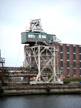 portrait of an old crane in the habor