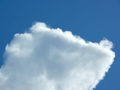 portrait of big nice cloud in blue background