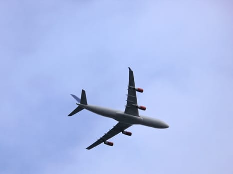 portrait of airplane skyliner seen from ground