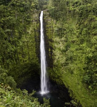 Akaka Falls on the Big Island of Hawaii