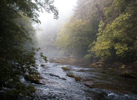 Peaceful river with rocks and overhanging autumn trees