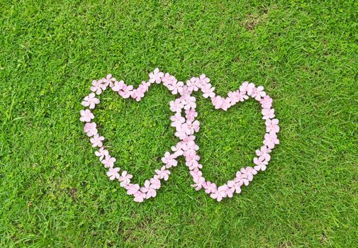 Pink flower love heart frame isolated on Green grass background