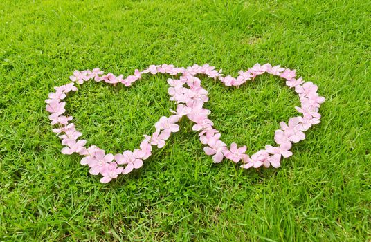 Pink flower love heart frame isolated on Green grass background