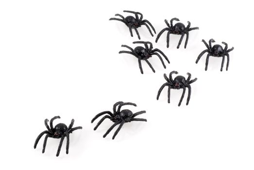 Black toy spiders colony, isolated on white.