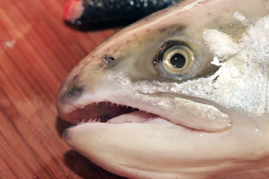 Head of salmon close-up on a wooden board