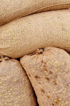 Background texture pattern of sacks filled with freshly harvested olives.