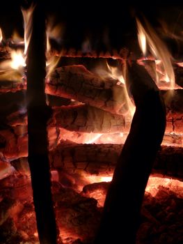 portrait of cozy camp fire outdoors in night-time