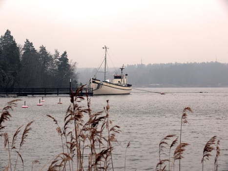 portrait of motor boat in harbour at dusky weather