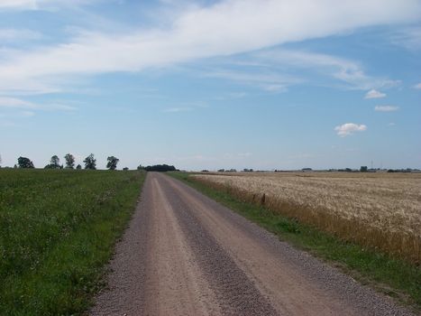portrait of gravel road in the country
