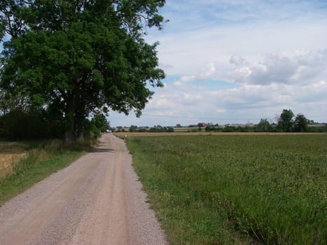 portrait of gravel road in the country
