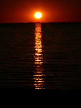 portrait of midnight sun in beautiful sea landscape