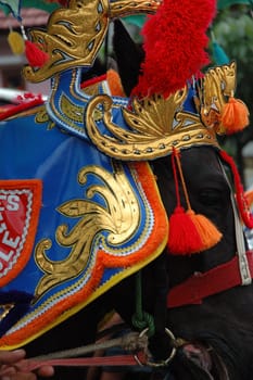 renggong horse-one of traditional ceremony heritage in indonesia