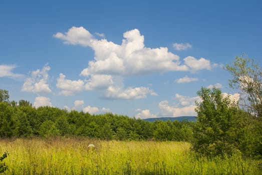 Summer landscape with blue sky with clouds 