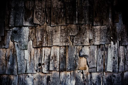 Old weathered wood shingles texture