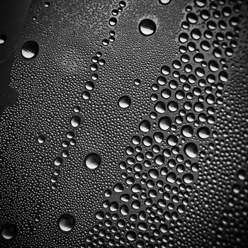 Water drops on black. Abstract texture.