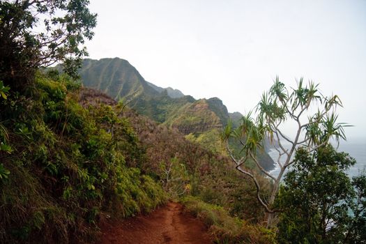 Kalalau trail path on the north coast of Kauai along Na Pali coastline