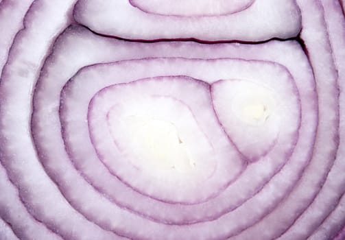 A macro shot of a fresh red onion.