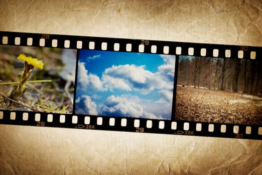 Nature photo with film strip on vintage background.