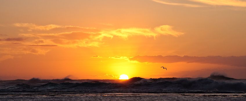 Bird swooping over the stormy sea at sunset