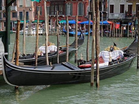 gondolas on grand canal in Venice