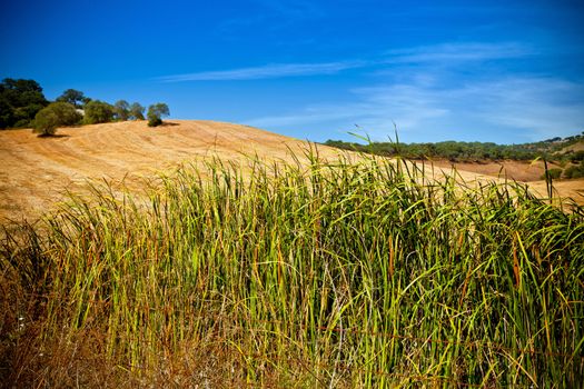 Countryside on the National Park of Arrabida with its beautiful blue sky.