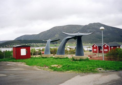 Tail of the whale Lofonten islands in Norway