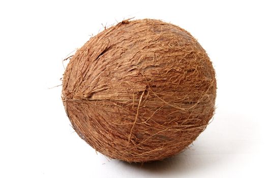 Coconut isolated on a white background. Close up image