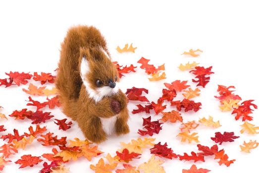 Squirrel surrounded by autumn leaves, isolated on white.