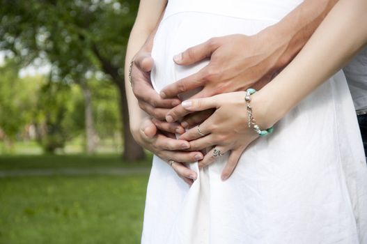 Man's and female hands embrace a pregnant stomach