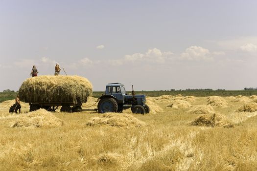 A tractor getting loaded in a field