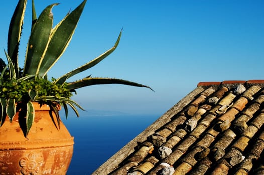 A view of the Mediterranean sea with roof and agave 