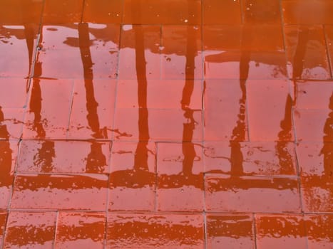 Reflections on wet pavement in the rain       