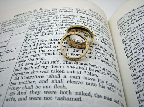 The first wedding vow in the book of Genesis with two wedding rings.
