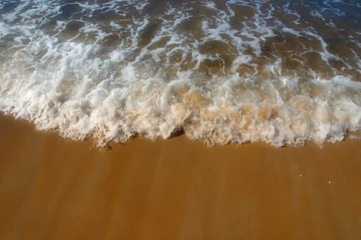 Sea froth on beach