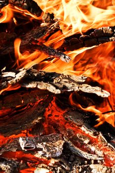 fire series: burning flame and firewood