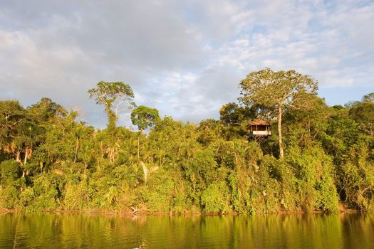 The main tourist attraction drawing tourists to Pt. Maldonado is Lake Sandoval and macaw's Claylick. This lake is famous for its family of Giant Otter which live in and around the area. There are only about 1000 Giant Otter left in the world, and 9 currently reside here.