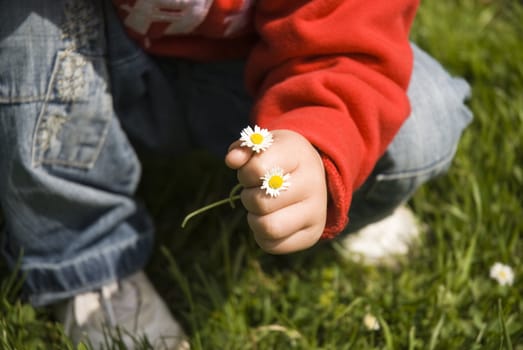 three year old boy holding two flowers!