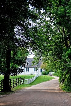 Driveway surrounded by trees next to meadow surrounded by a white fence leading towards a white colonial farm house