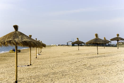 Beach umbrellas