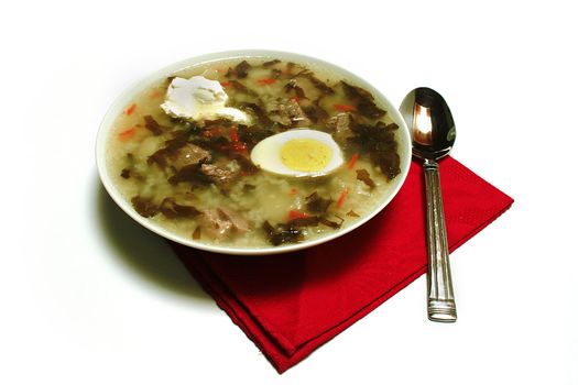 Green borsch — soup on a basis Rumex, a dish of national kitchens of some slavic countries.