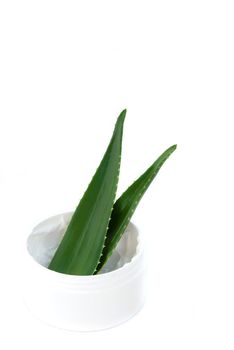 aloe vera leaves and cream isolated on white background