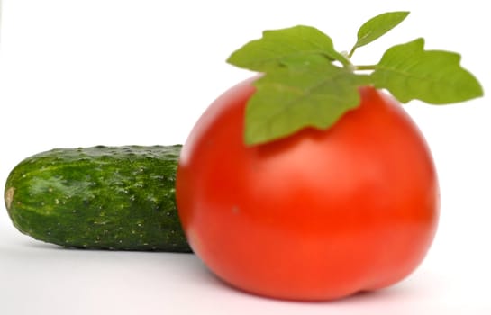 vegetables on a white background