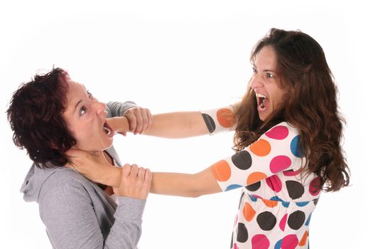 Two young woman fighting over a white background