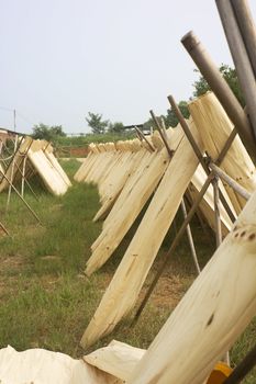 Image of drying tree barks for traditional Chinese paper making at Guilin, China.